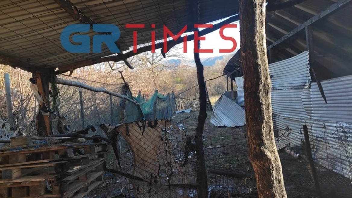 Καστοριά: Φωτιά σε κτηνοτροφική μονάδα έκαψε ζωντανά 250 αιγοπρόβατα