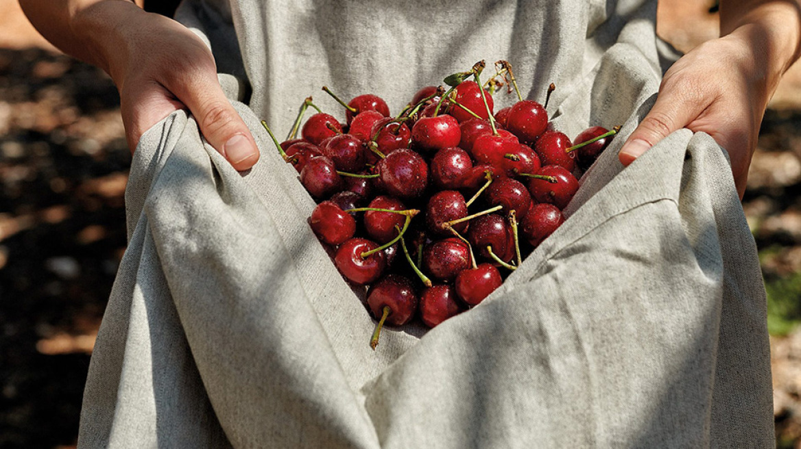 Τα μαθήματα της Φύσης