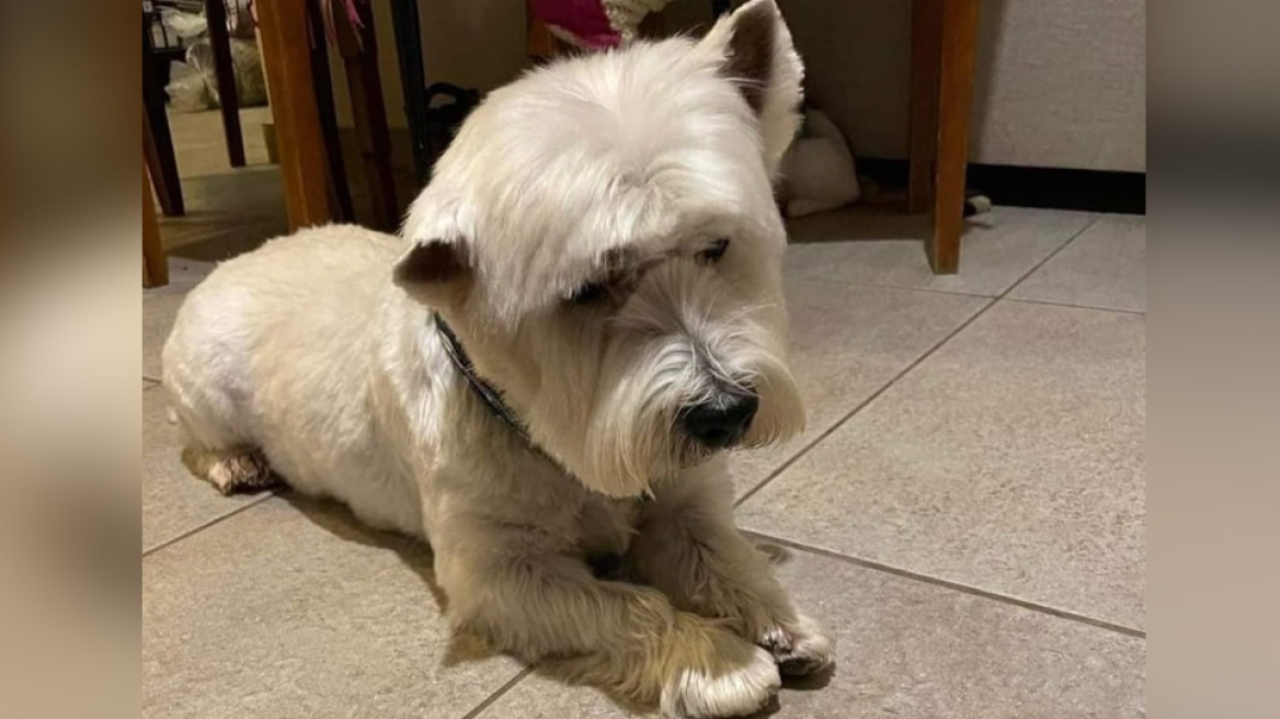 Χάθηκε ο Ιντεφίξ στην περιοχή Παπάγου