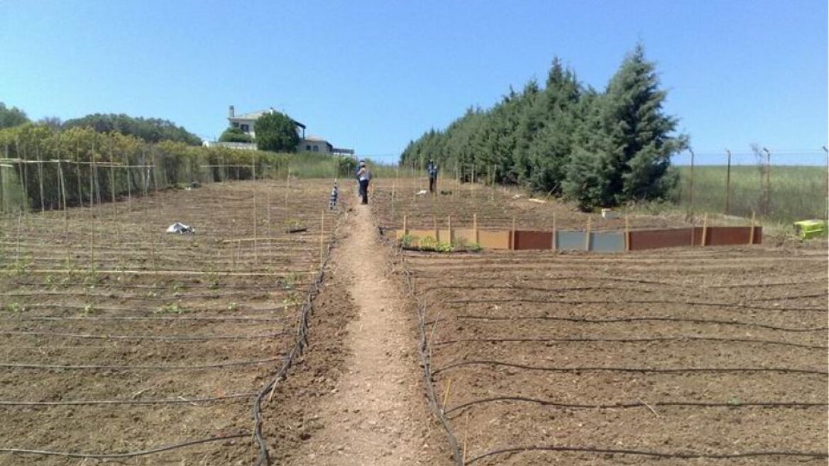 Φάρσαλα: Επί ένα μήνα λεηλατούσαν συστήματα άρδευσης στα χωράφια