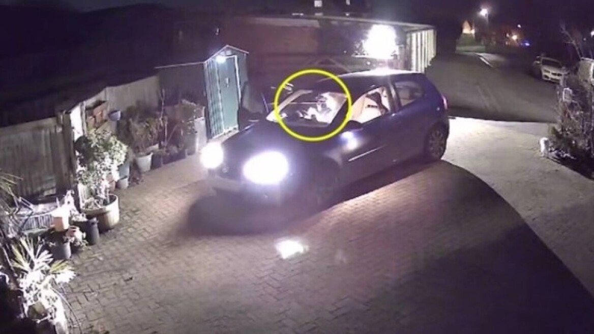 Παρήγγειλαν πίτσα, αλλά όταν την άνοιξαν διαπίστωσαν πως τη μισή την είχε φάει ο ντελιβεράς (vid)