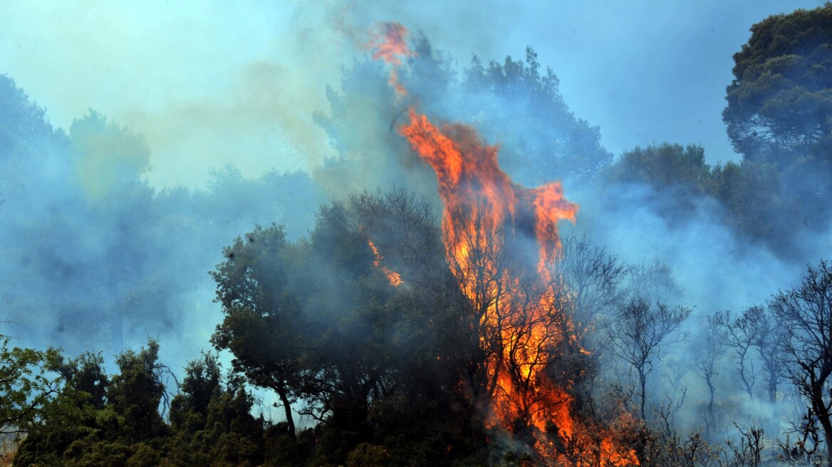 Mεγάλη φωτιά στον Μελιγαλά Μεσσηνίας