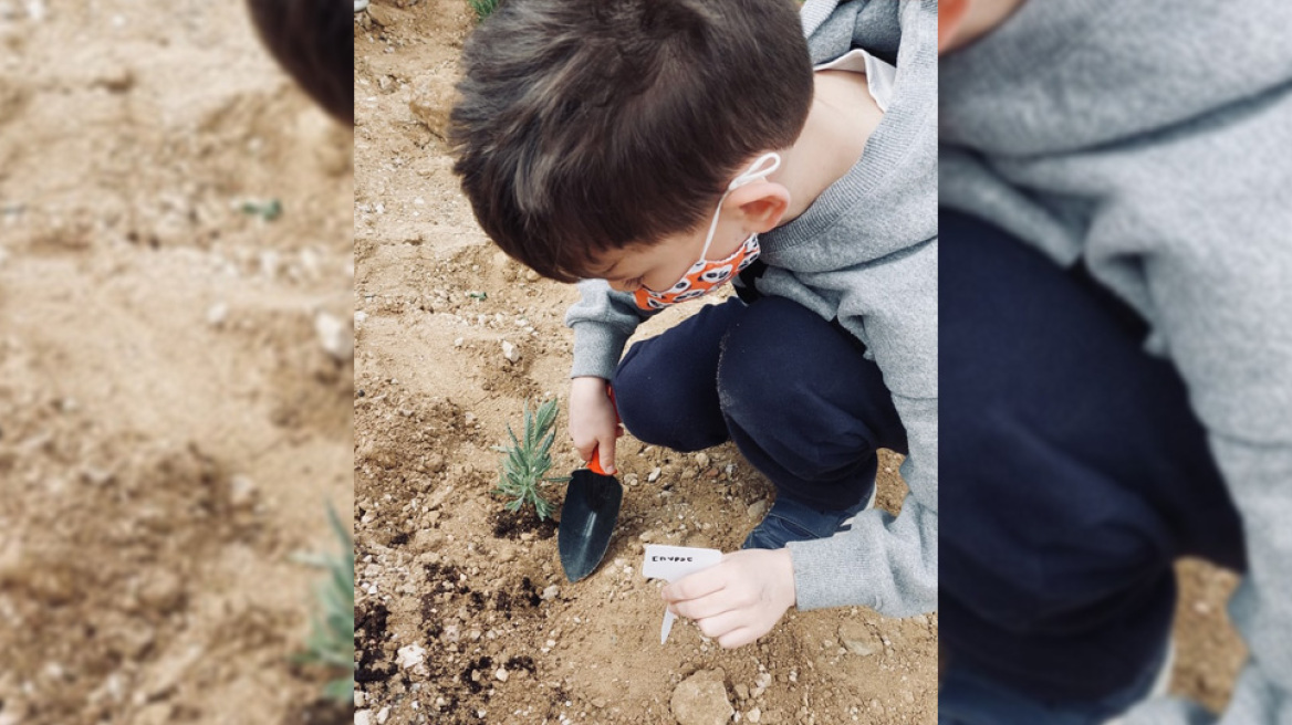 Η Sunlight Group πραγματοποιεί δενδροφυτεύσεις