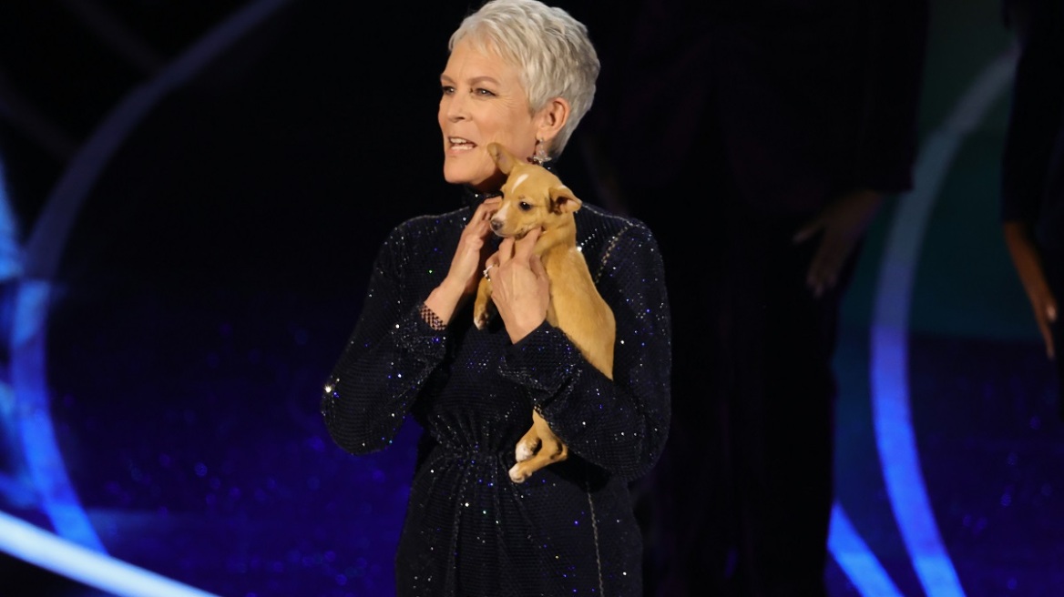 Τι συνέβη με το κουταβάκι που «συνόδευσε» την Τζέιμι Λι Κέρτις στα Όσκαρ; Η απάντηση θα σας φτιάξει τη μέρα