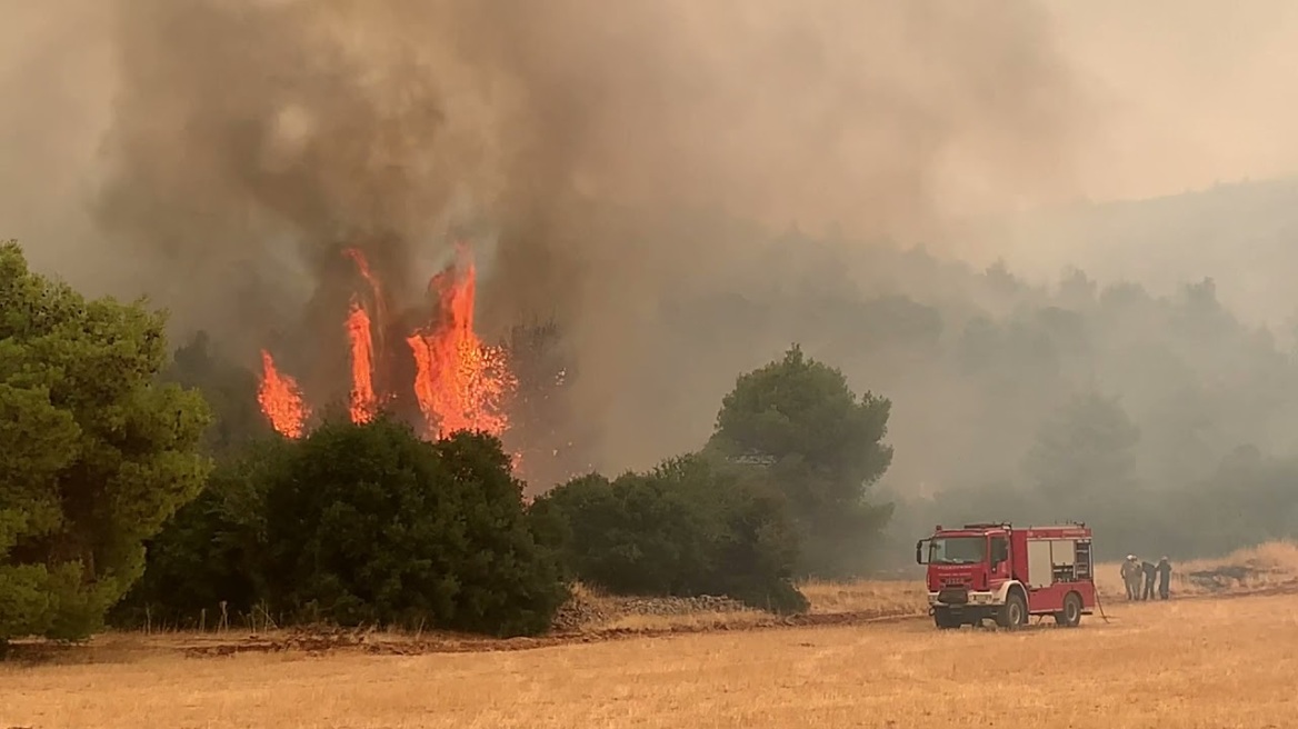 Σάμος: Σε ύφεση η μεγάλη πυρκαγιά