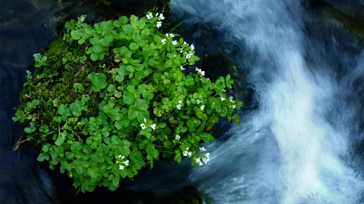 Ένας χρόνος αληθινό νερό