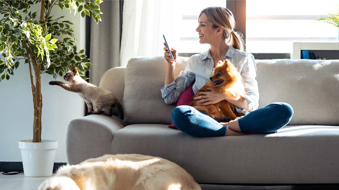 Ανθεκτικά μικρόβια: Ο ένοχος υπεράνω υποψίας που μπορεί να μας τα μεταδώσει