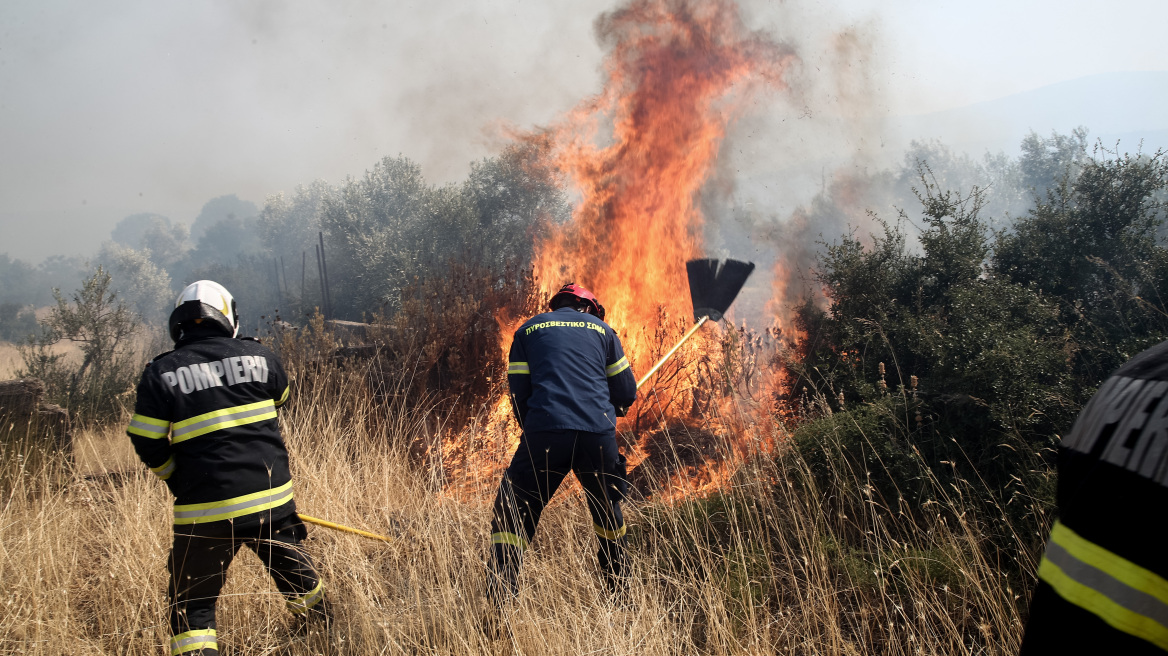 Ξεκινά η εκπαίδευση των 500 δασοκομάντος