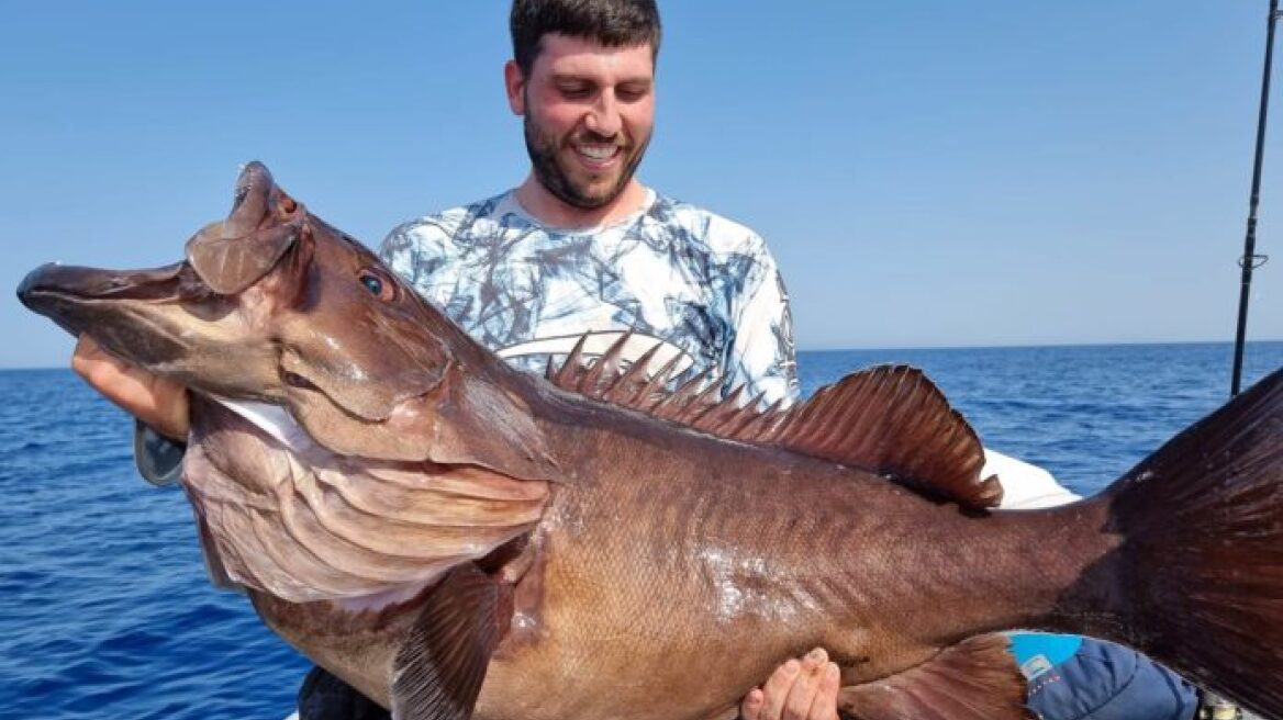 Δείτε το τεράστιο ψάρι που έπιασαν στα Χανιά - Τι «πρόδωσε» τον γίγαντα του βυθού