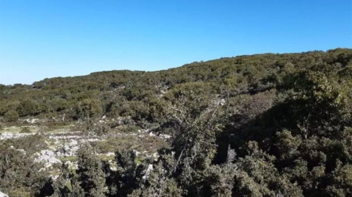 ΑΓΥΙΑ Α.Ε.: Στο σφυρί τα… «βοσκοτόπια» του Καλογρίτσα (pics)