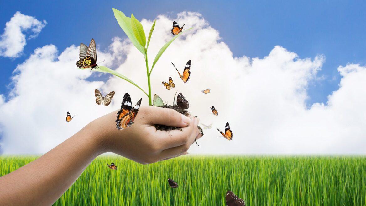 Ανάπτυξη με γνώμονα την πράσινη ενεργειακή μετάβαση