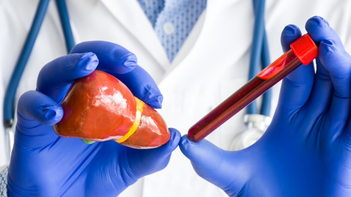 Ήπαρ: Η ορμόνη που μειώνει τη συγκέντρωση λίπους και τη φλεγμονή