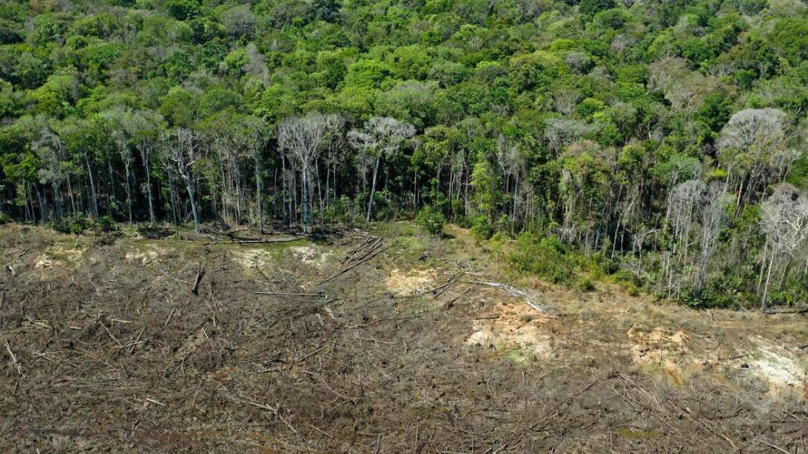 Βραζιλία: Η αποψίλωση του δάσους του Αμαζονίου έσπασε ρεκόρ το πρώτο 6μηνο