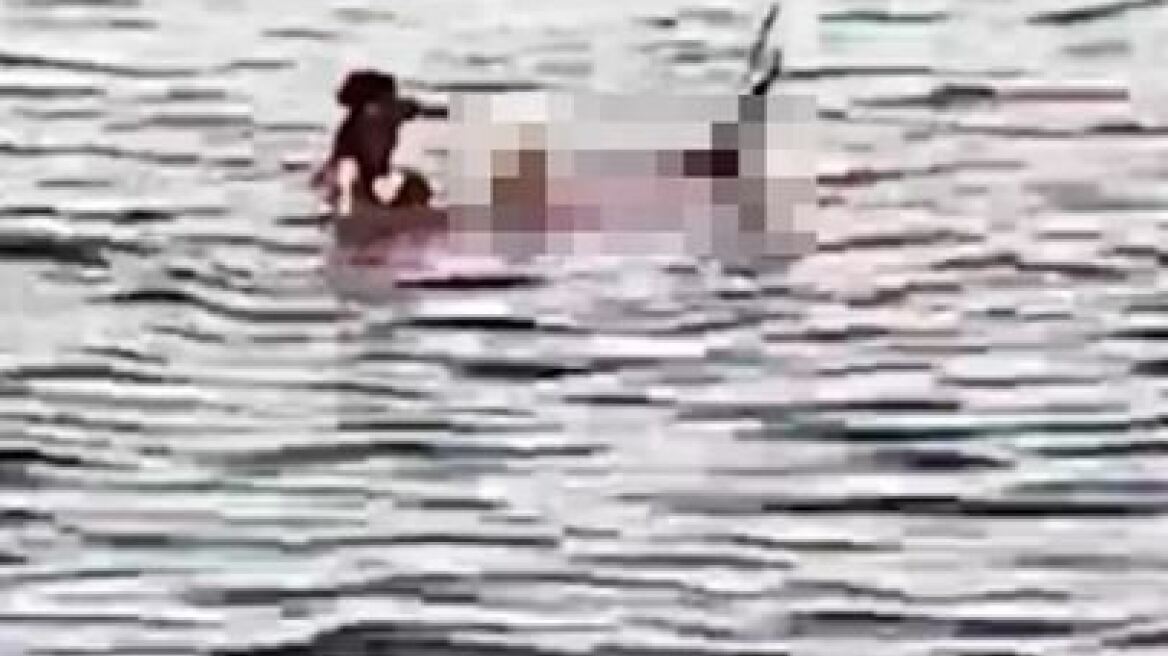 Δεύτερη φονική επίθεση από καρχαρία στην Αίγυπτο - Ακόμη μια τουρίστρια βρήκε τραγικό τέλος