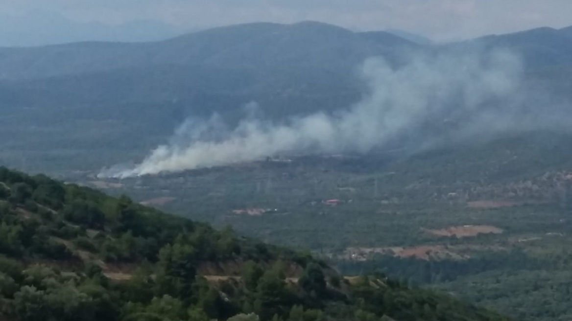 Μεγάλη φωτιά τώρα στα Κακουρέικα Αρκαδίας