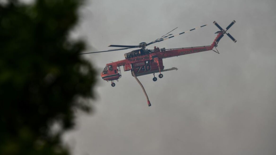Πυρκαγιά στην Ηλεία: Πάνω από 8.000 στρέμματα κάηκαν, σύμφωνα με το Copernicus