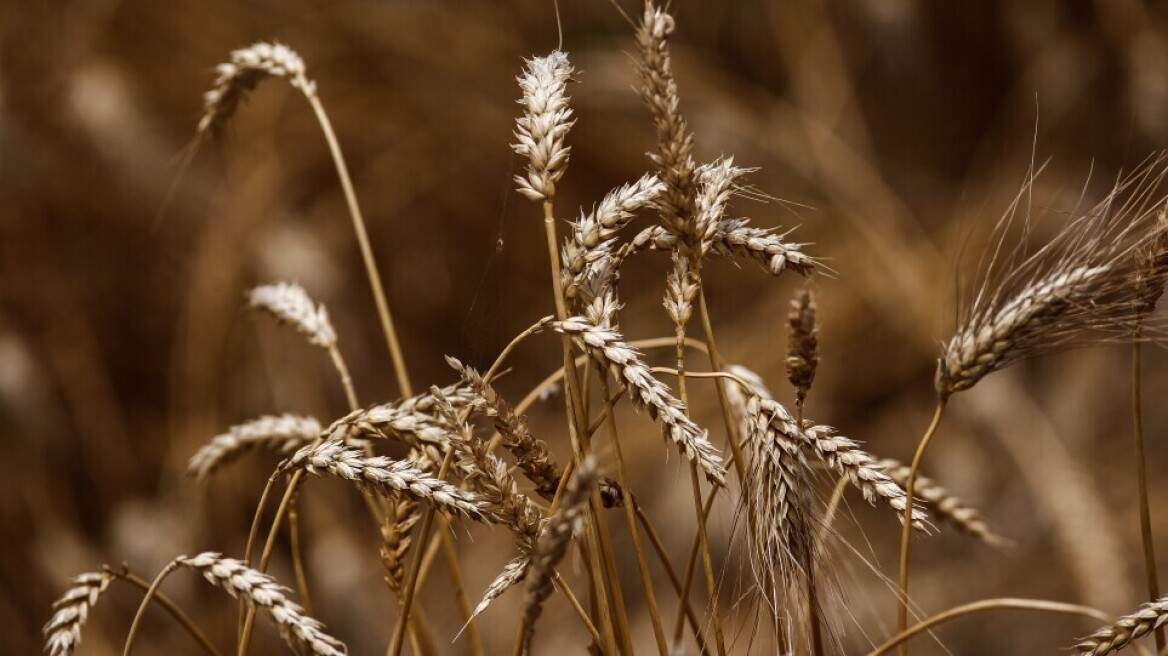 Λειτουργεί ξανά, έπειτα από 23 χρόνια, η σιδηροδρομική σύνδεση της Ουκρανίας με τη Μολδαβία