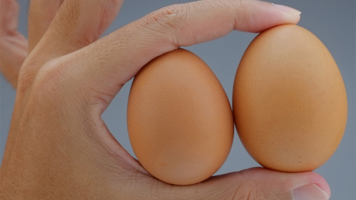 Όρχεις: Συχνότερες παθήσεις και αντιμετώπιση