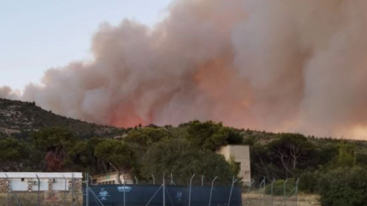 Φωτιά στην Πεντέλη: Έκκληση στους πολίτες να μην εγκαταλείπουν τα ζώα τους 