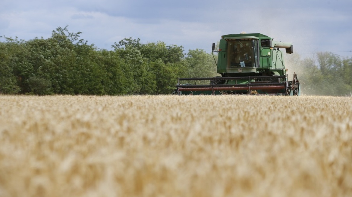Πόλεμος στην Ουκρανία: Οι επιτυχίες μας στον πόλεμο «έφεραν» τη συμφωνία για τα σιτηρά, υποστηρίζει το Κίεβο