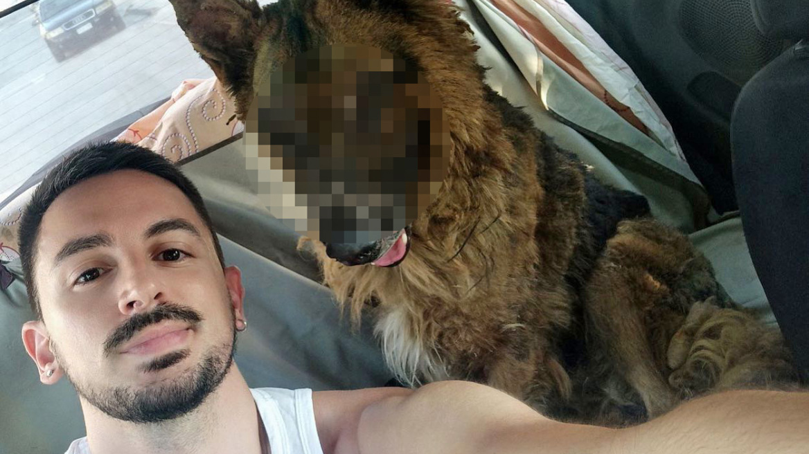 Φωτιά στην Πεντέλη: Με εγκαύματα μεταφέρθηκε σε κλινική το λυκόσκυλο που βρέθηκε αβοήθητο 