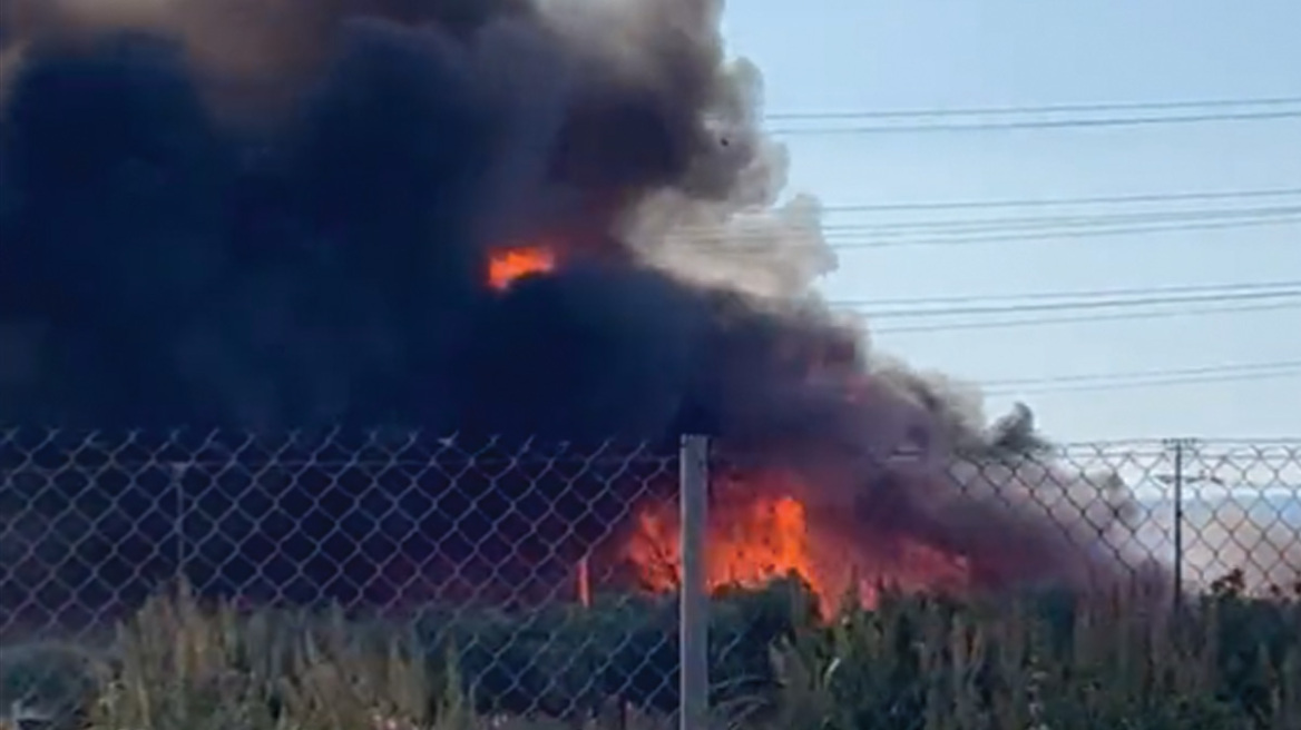 Βίντεο: Έτσι συνελήφθη εμπρηστής στον Ασπρόπυργο - Έβαλε φωτιά δίπλα σε σπίτια
