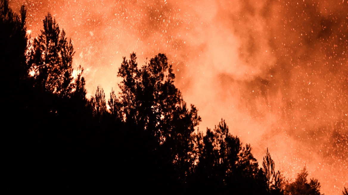 Φωτιά στον Έβρο: Εντολή για προληπτική εκκένωση στο χωριό Δαδιά με μήνυμα από το 112