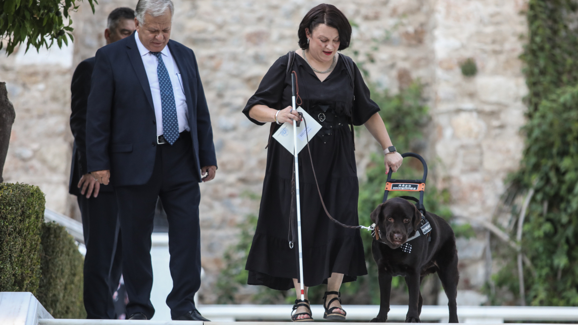 Σκύλος - οδηγός έκλεψε την παράσταση στη δεξίωση για την 48η επέτειο αποκατάστασης της Δημοκρατίας