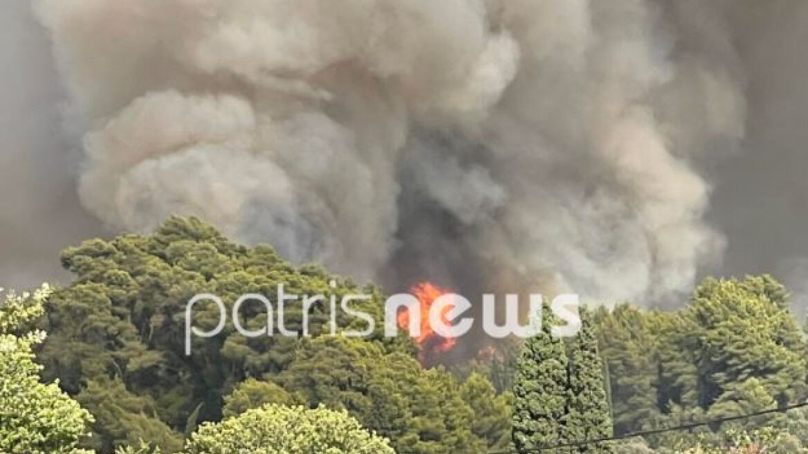 Υπό έλεγχο η φωτιά στα Κρέστενα 