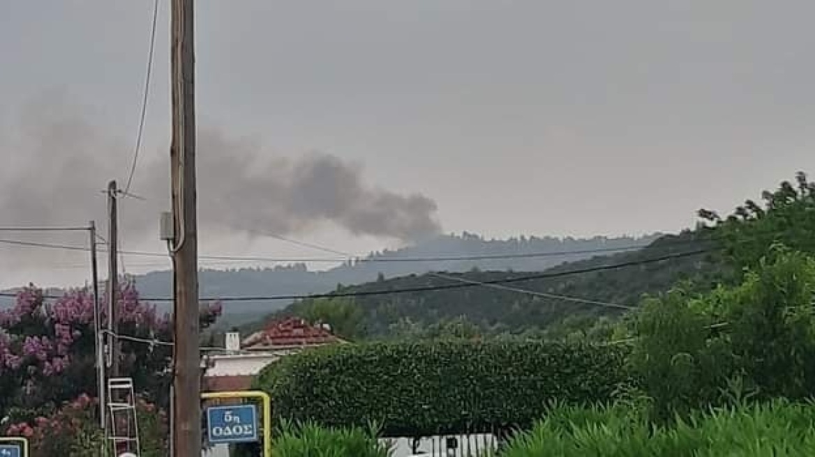 Χαλκιδική: Τρεις δασικές φωτιές σε Κασσάνδρα και Σιθωνία