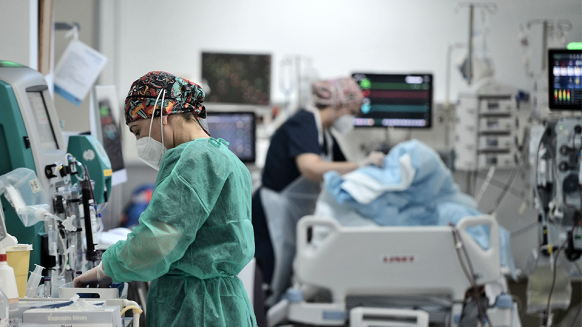 Εύβοια: Σε ΜΕΘ ο 6χρονος που δέχθηκε επίθεση από ροτβάιλερ
