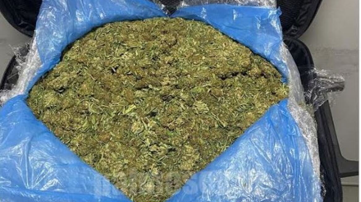 Αλλοδαποί θα διακινούσαν έξι κιλά κάνναβης στην Εύβοια