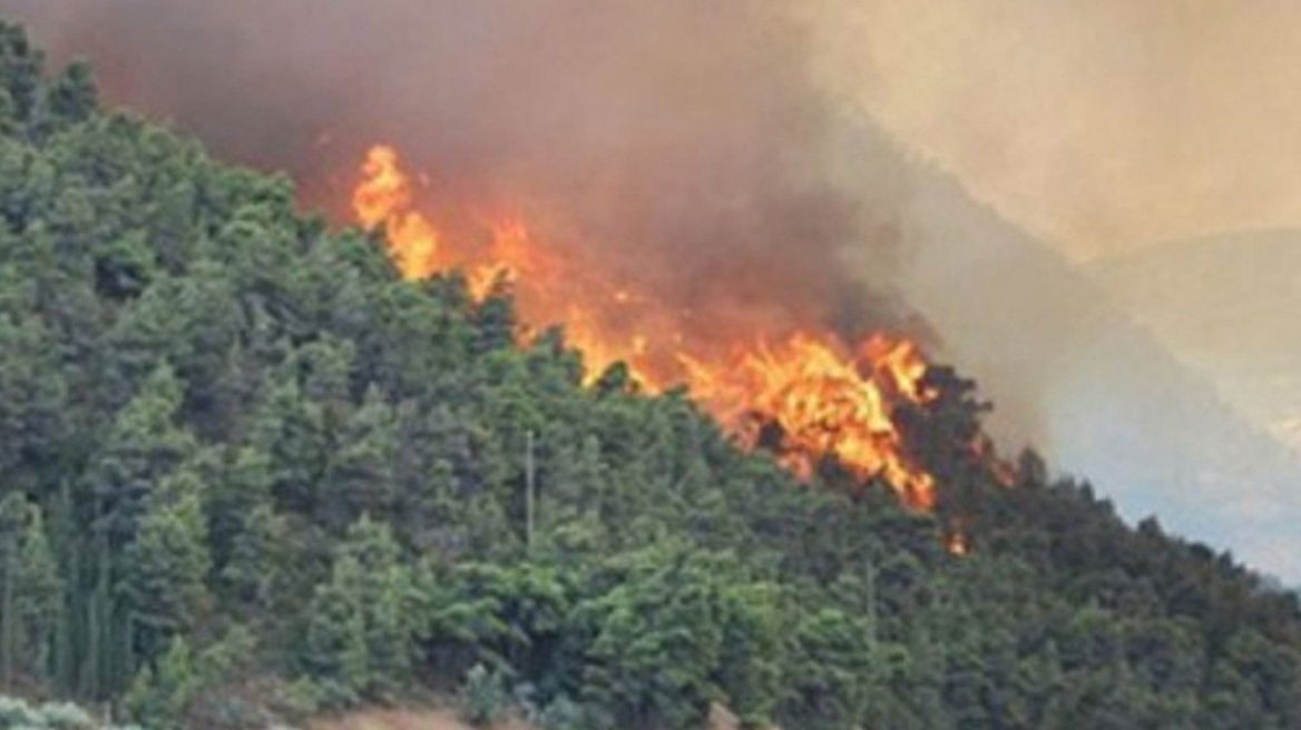 Πυρκαγιά στο Άγιο Όρος: Ολονύκτια μάχη με τις φλόγες δίνουν οι πυροσβεστικές δυνάμεις 