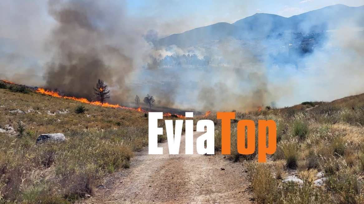 Φωτιά στη Χαλκίδα κοντά στο νοσοκομείο