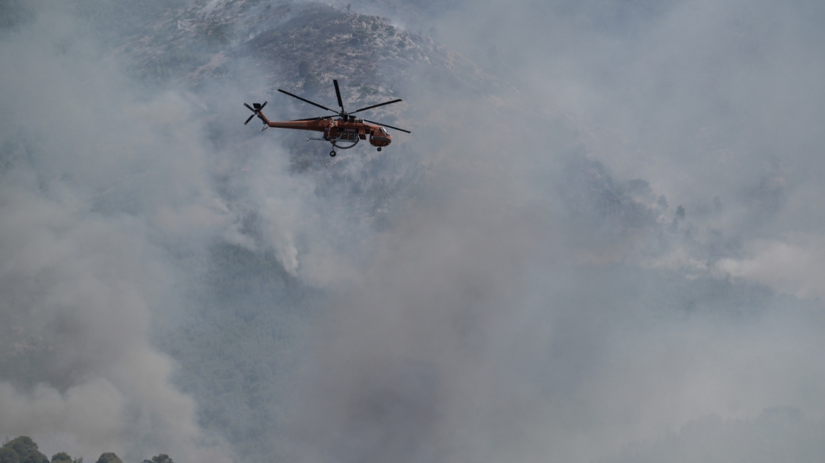 Πυροσβεστική: Επιπλέον 41 δασικές πυρκαγιές το τελευταίο 24ωρο