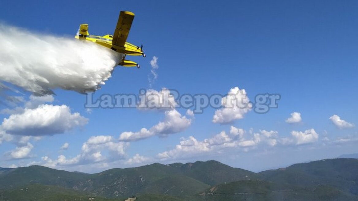 Φθιώτιδα: Οριοθετήθηκε η φωτιά στο Λογγίτσι - Στη «μάχη» και εναέρια μέσα (βίντεο και φωτογραφίες)