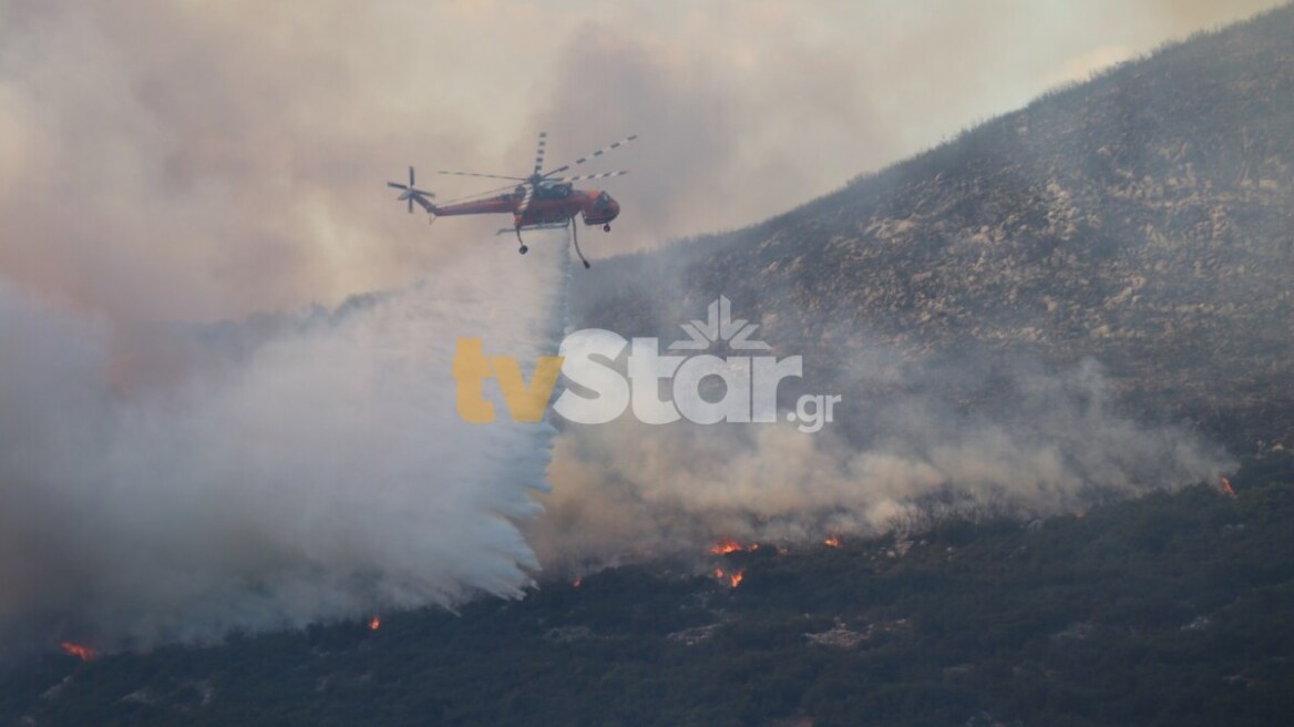 Φωτιά στη Φθιώτιδα: Επιχειρούν ισχυρές πυροσβεστικές δυνάμεις - Έχουν σηκωθεί και τα εναέρια μέσα
