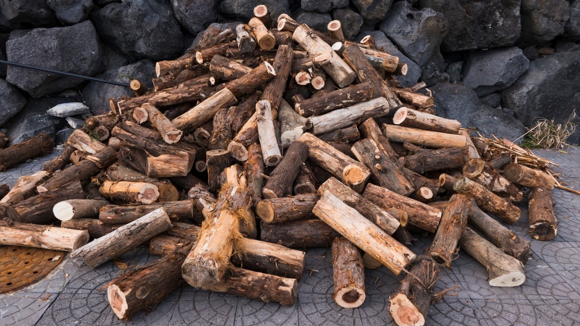 Ενεργειακή κρίση: Καυσόξυλα για το χειμώνα ξεκίνησαν να αποθηκεύουν οι Γερμανοί