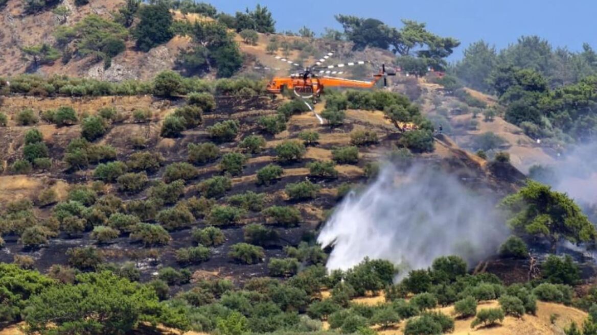 Ηράκλειο: Ένας 86χρονος υπεύθυνος για τη μεγάλη φωτιά στη Βιάννο - Εικόνες καταστροφής