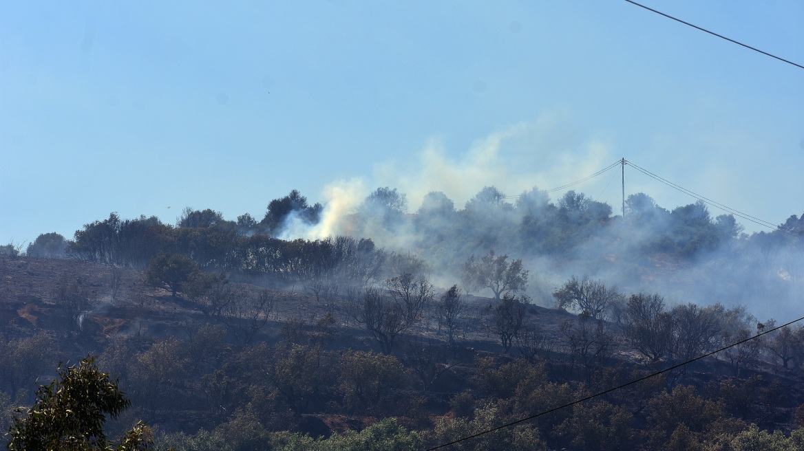 Φωτιά τώρα στην ανατολική Μάνη - Επιχειρούν επίγειες και εναέριες δυνάμεις