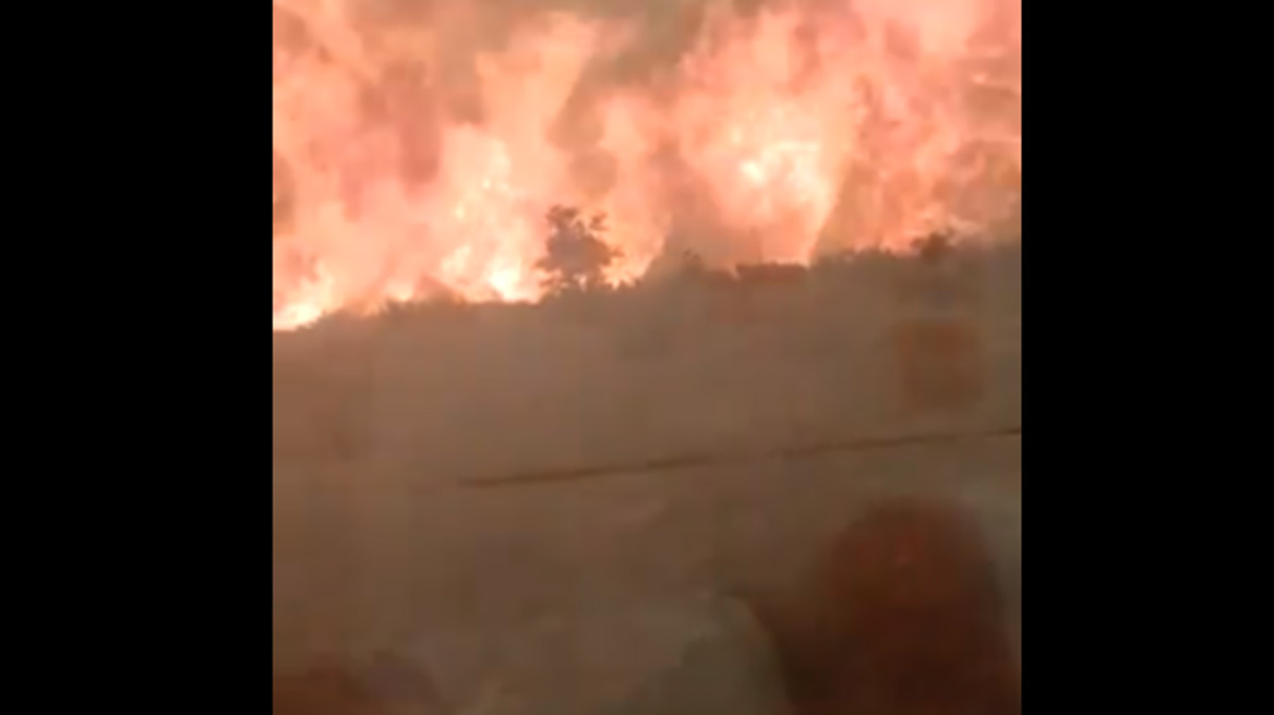 Φλόγες περικύκλωσαν τρένο στην Ισπανία – Έντρομοι προσπάθησαν να διαφύγουν οι επιβάτες