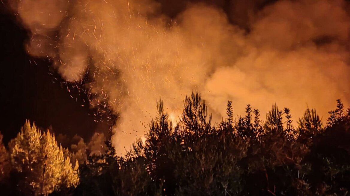 Ηλεία: Πυρκαγιά στην Ανάληψη Αμαλιάδας
