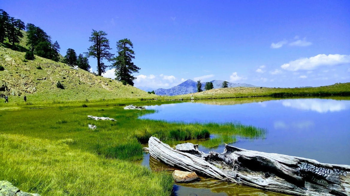 Βότανα και Άγρια Φύση στη Βάλια Κάλντα της Πίνδου