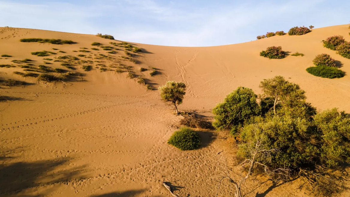  Αμμοθίνες Λήμνου: H μικρή ελληνική «Σαχάρα»