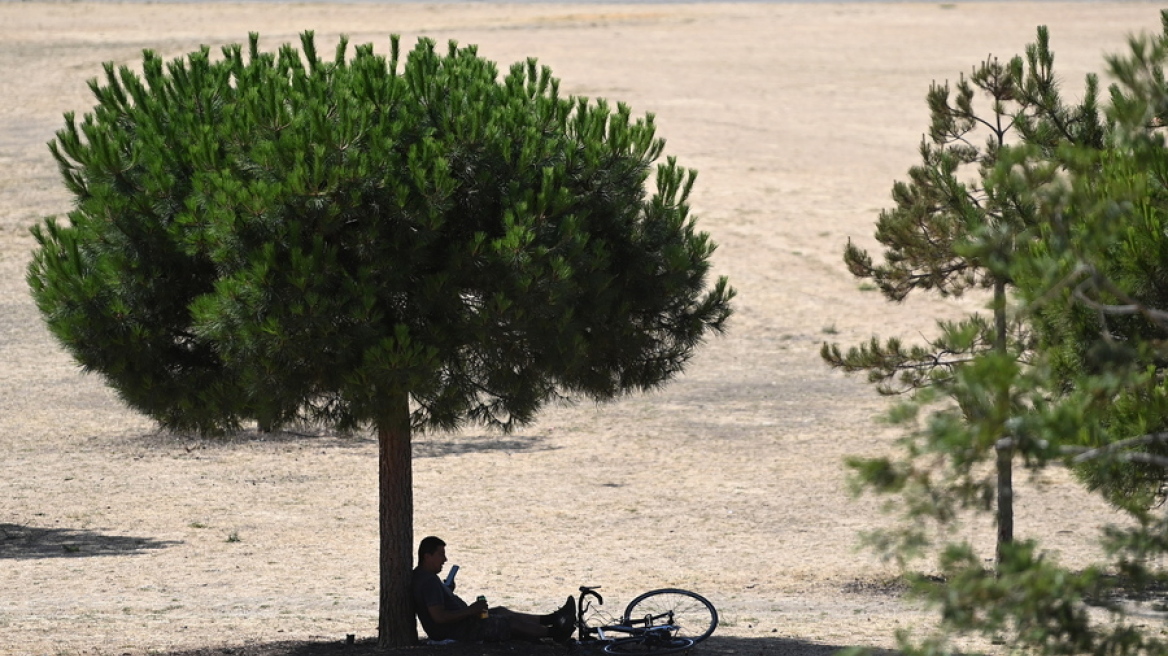 Καύσωνας: Το φετινό καλοκαίρι το πιο ζεστό στην ιστορία της Βρετανίας - Το θερμόμετρο ξεπέρασε τους... 40 βαθμούς 