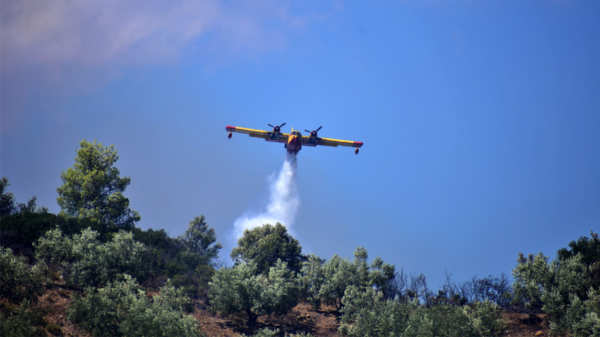 Σε ύφεση η φωτιά στον Αυλώνα