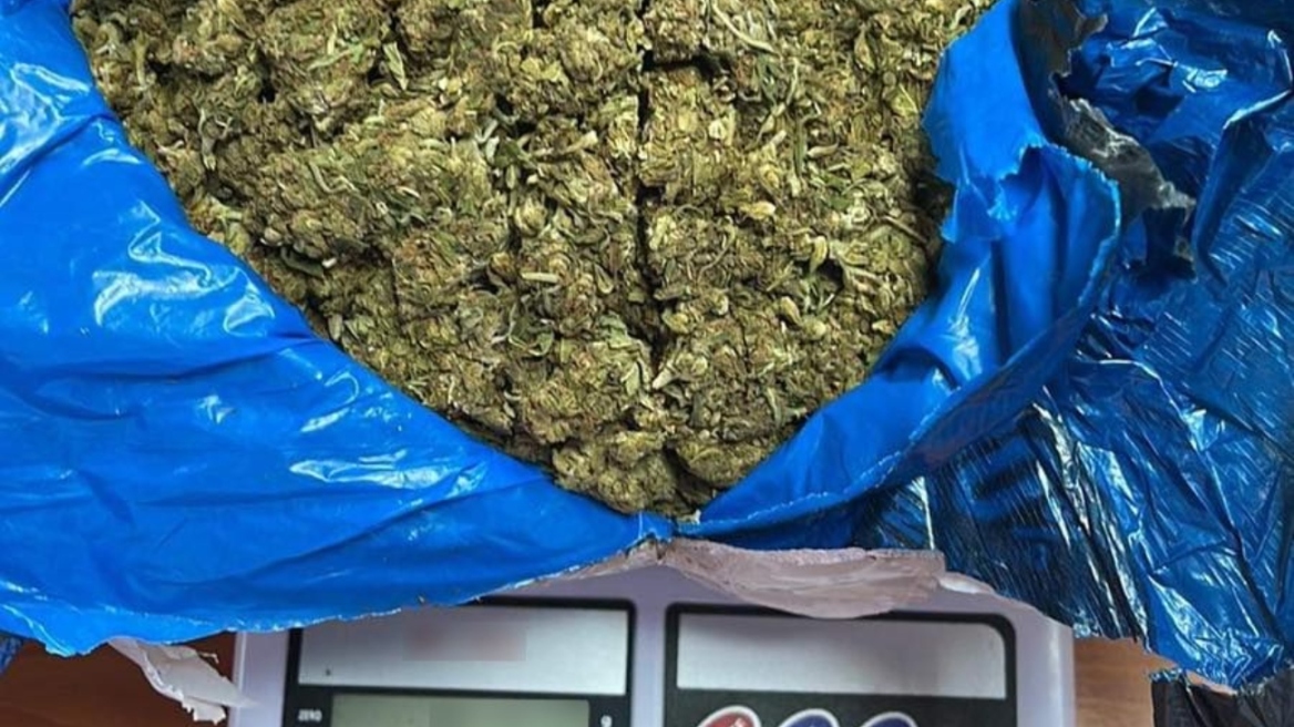 Χίος: Η σκυλίτσα «Άνκω» ξετρύπωσε δέμα με μισό κιλό κάνναβης σε μεταφορική εταιρεία