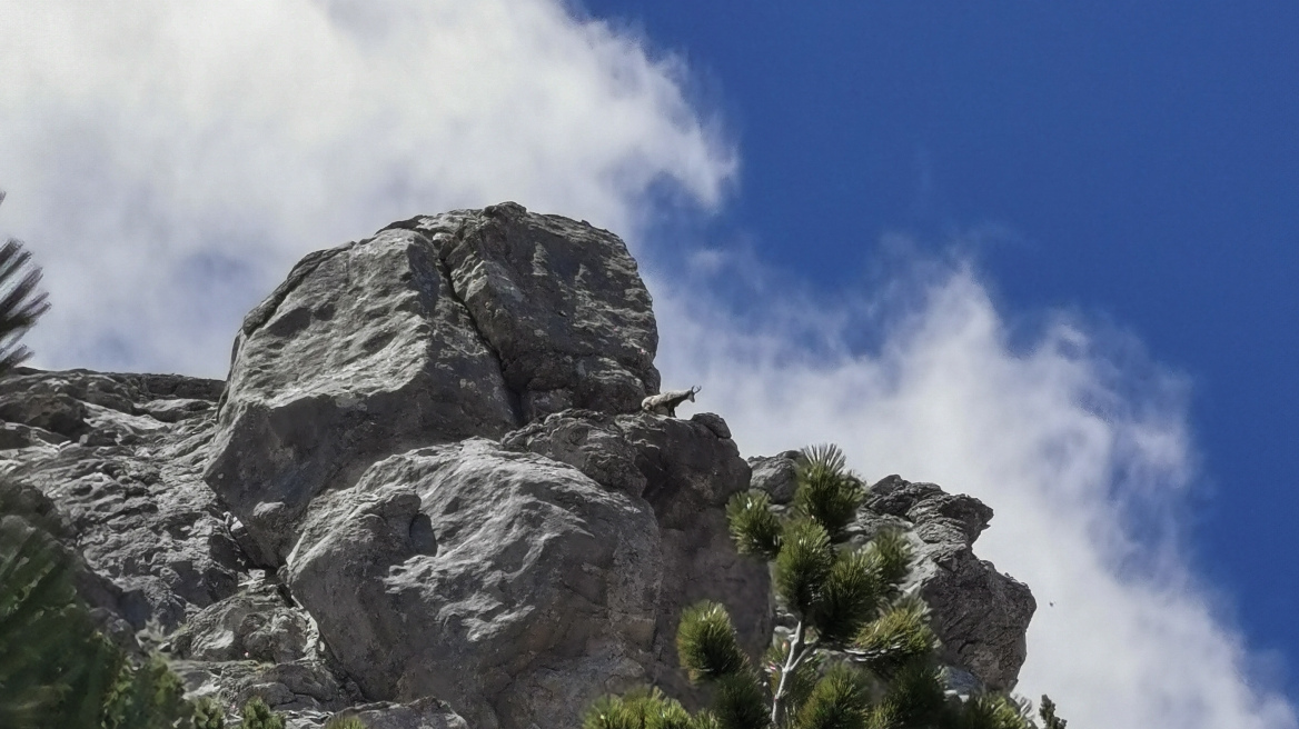 Στο Νοσοκομείο Κατερίνης νοσηλεύεται ο 23χρονος ορειβάτης που τραυματίστηκε στον Όλυμπο