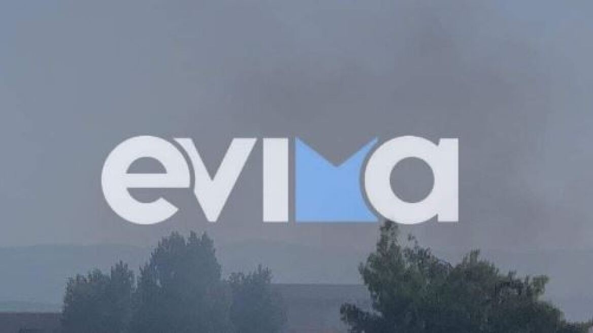 Φωτιά στη Χαλκίδα - Καίει κοντά σε σχολείο