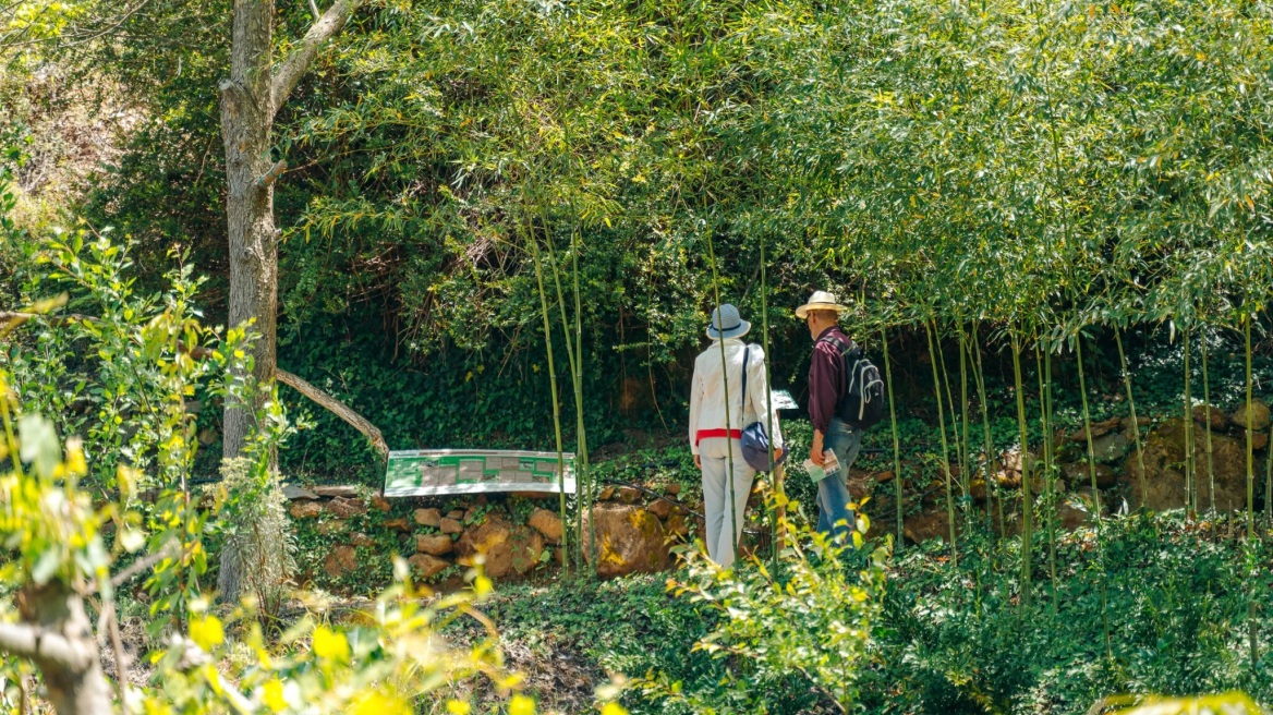 Ένας παράδεισος για εκατοντάδες φυτά και ζώα στην Κρήτη